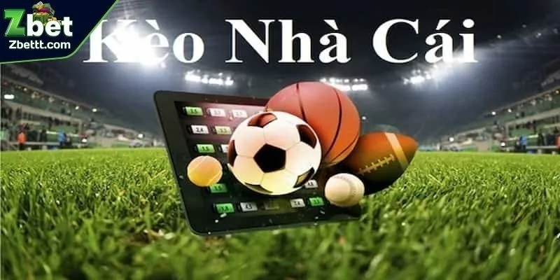 Những điều ít người biết khi đọc kèo tại nhà cái