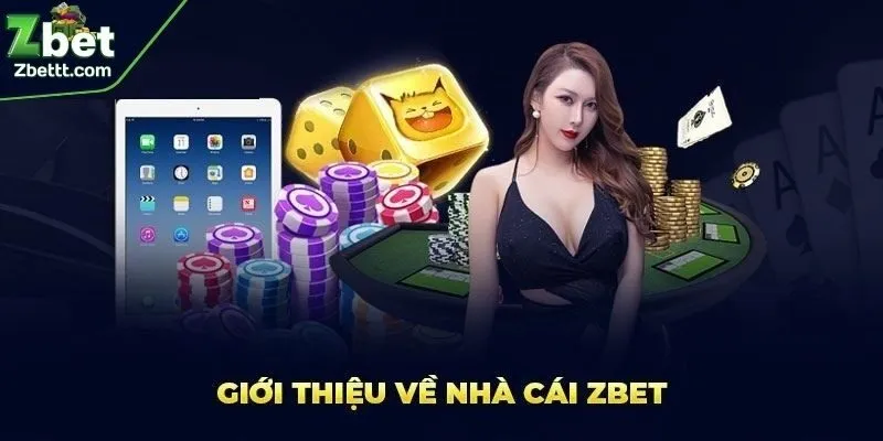 ZBET được yêu mến ngay từ khi ra mắt