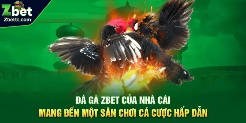 Nhiều kèo cược đá gà hấp dẫn cho bet thủ